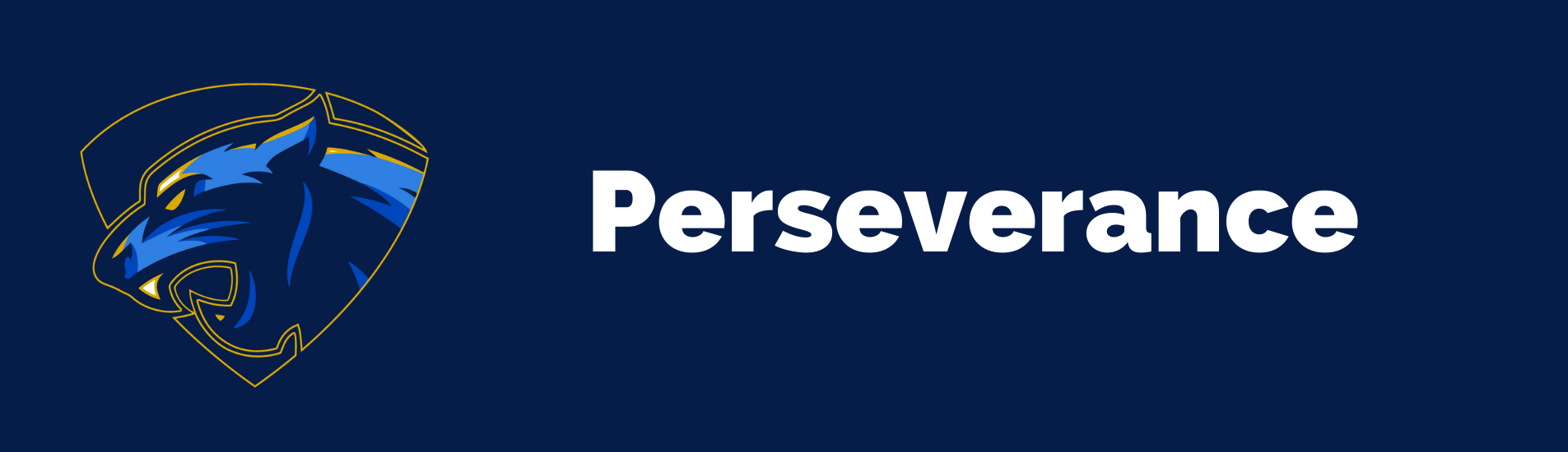 Perseverance value banner