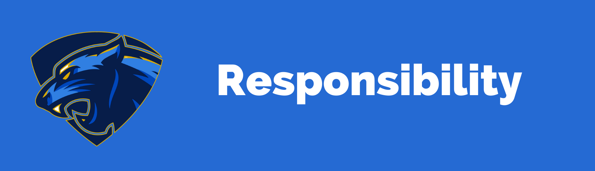 Responsibility value banner