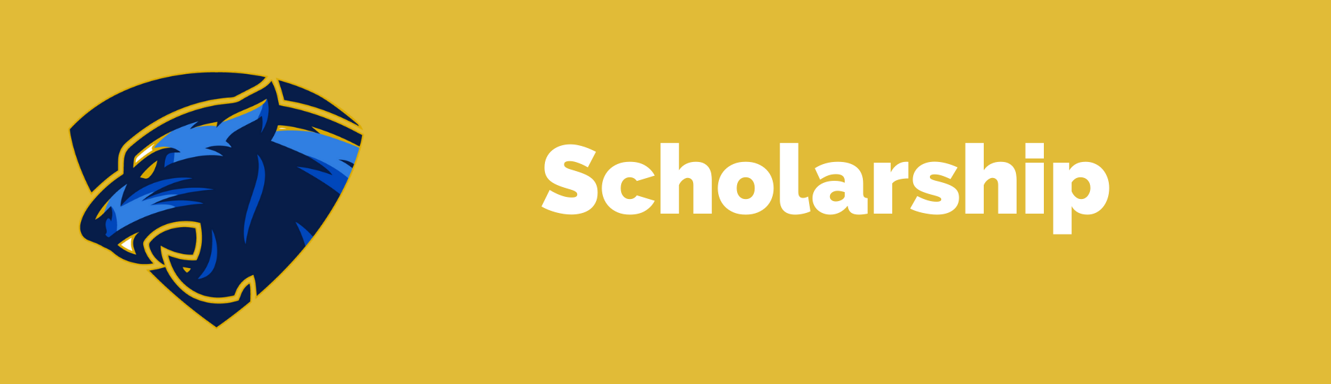 Scholarship value banner
