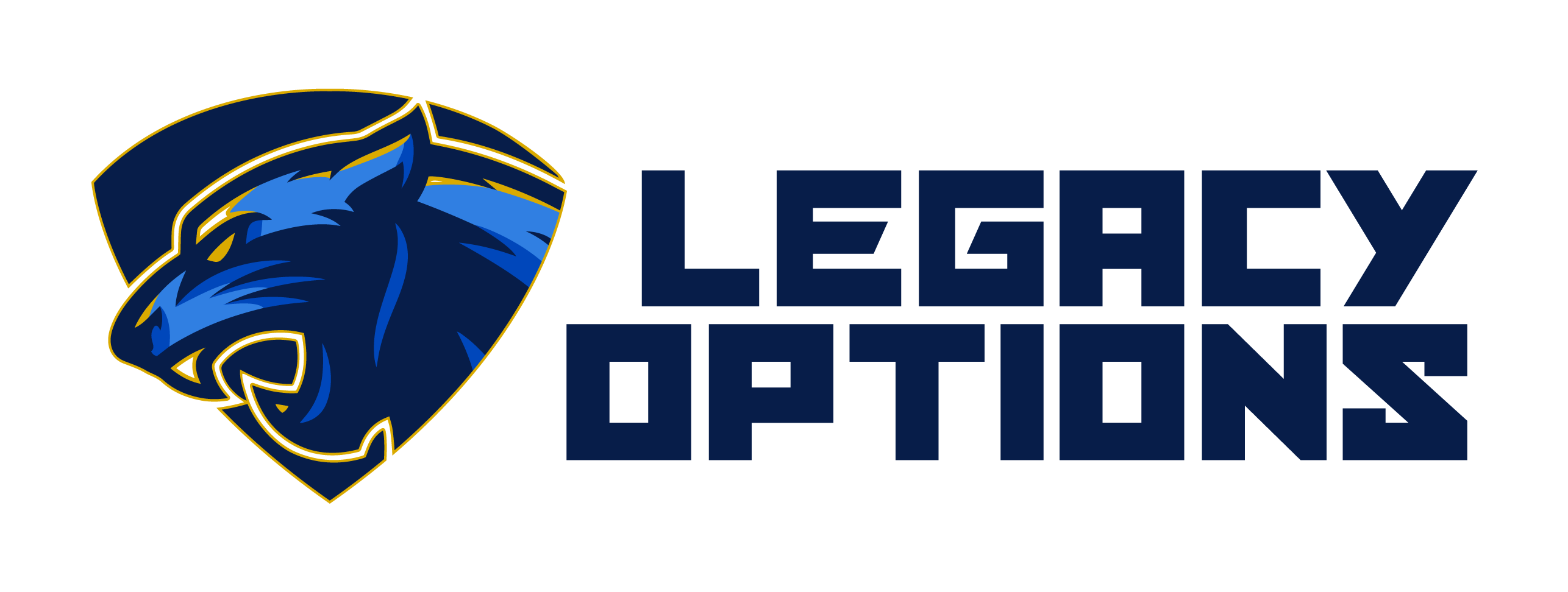 Legacy Options horizontal logo